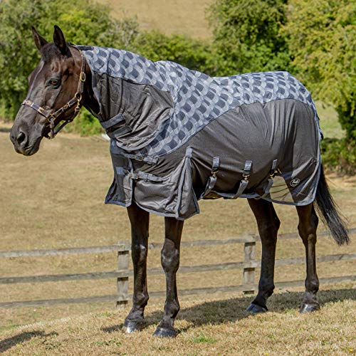 Fly Rugs